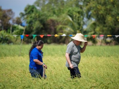 SS Rice News Convention 2025, Pattaya - Thailand